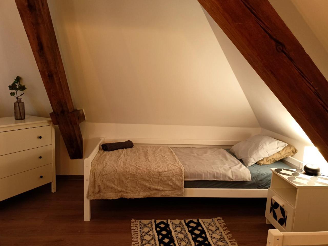 Lemuria Pokoje Hostel Chojnowska A 웨그니차 외부 사진