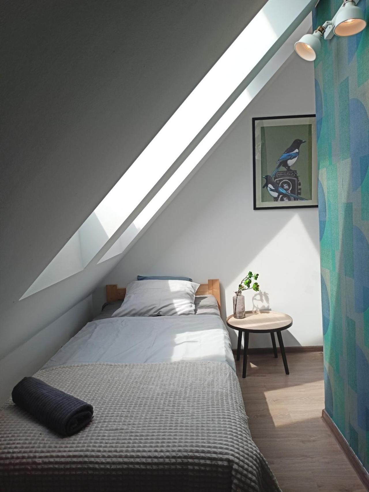 Lemuria Pokoje Hostel Chojnowska A 웨그니차 외부 사진