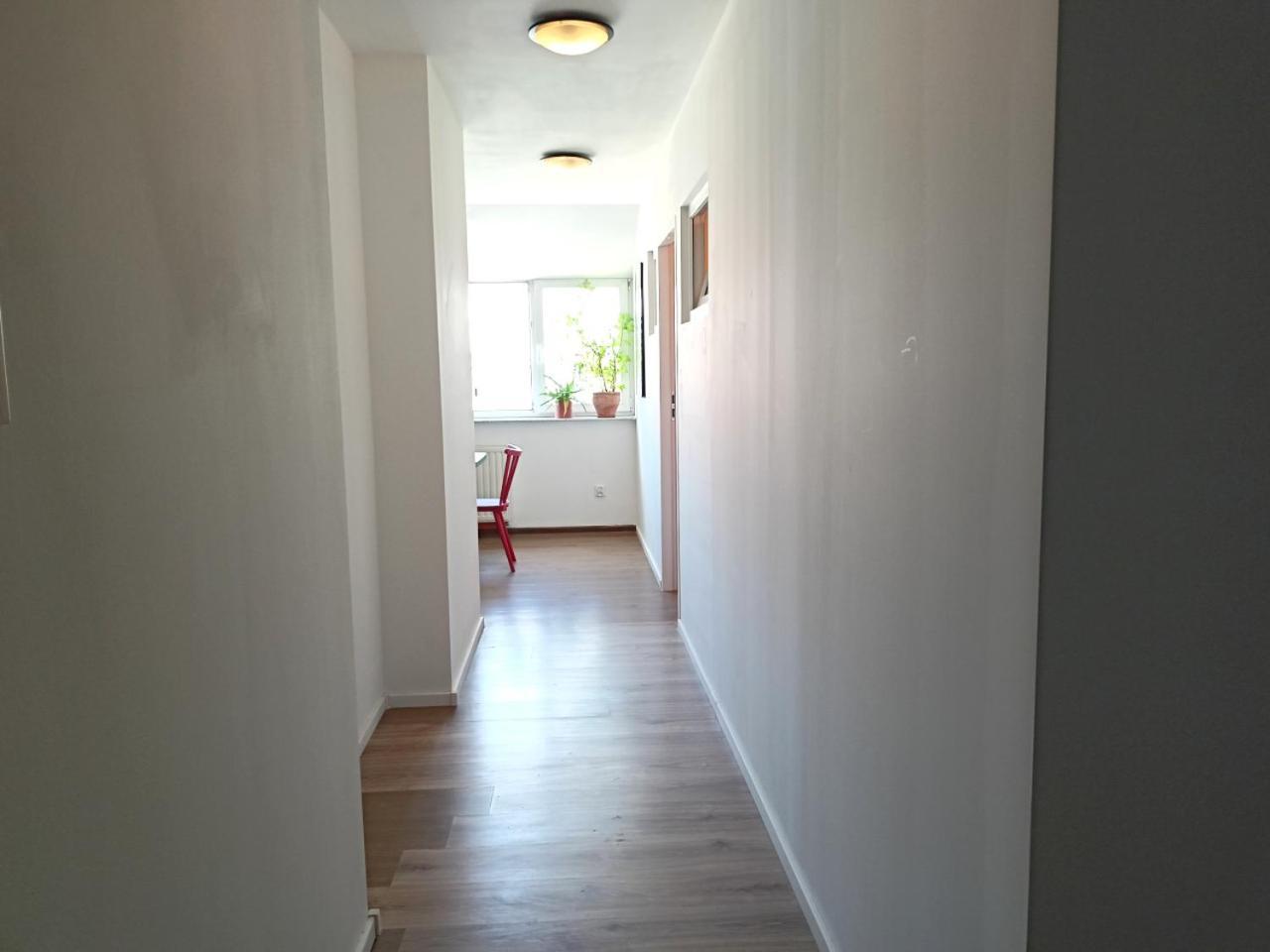 Lemuria Pokoje Hostel Chojnowska A 웨그니차 외부 사진